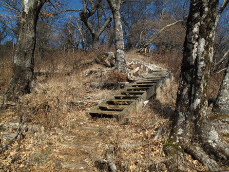 20171207hike (150)